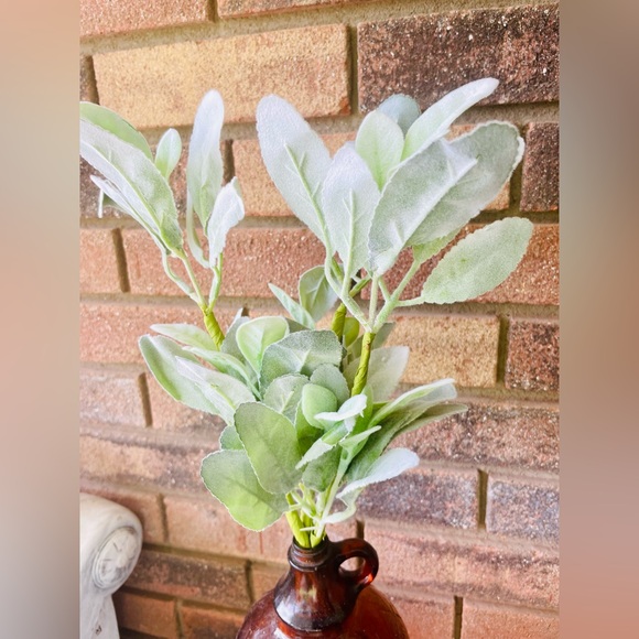 *Lamb’s Ear Pick, 13”, Bundle of 3 - Picture 10 of 13